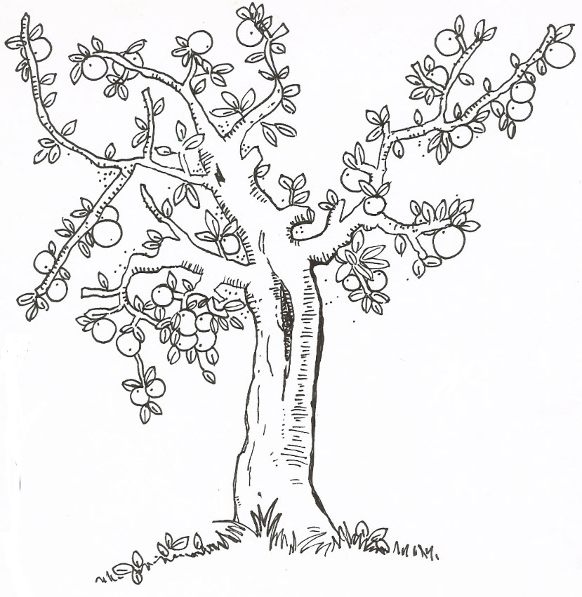 thankful tree coloring pages - photo #29